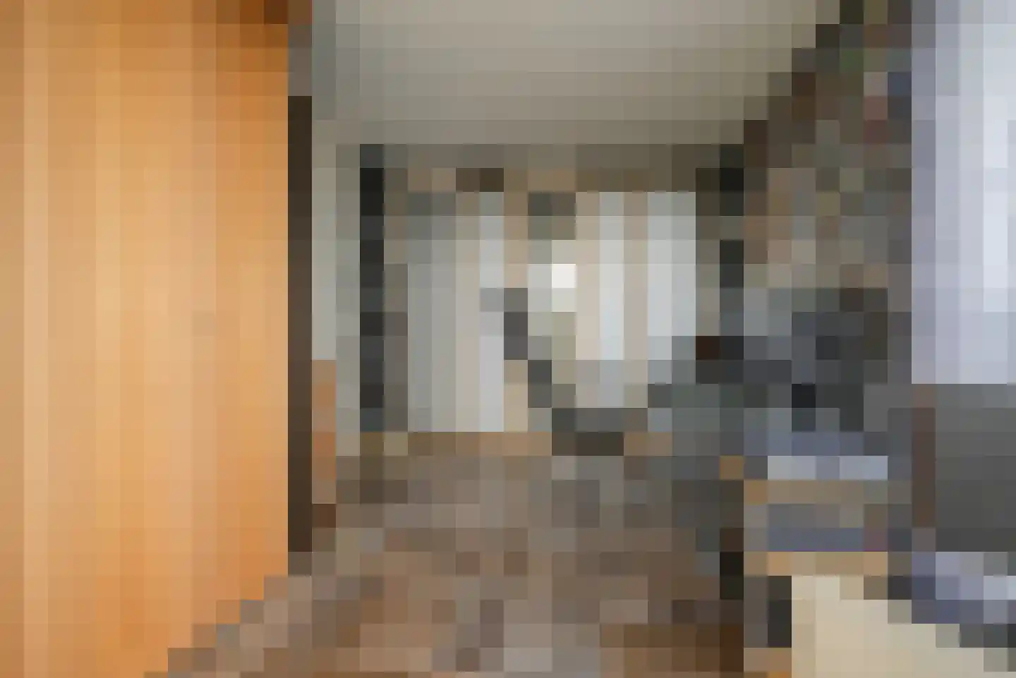 Steenbreekvaren 34 Bergschenhoek thumbnail 24
