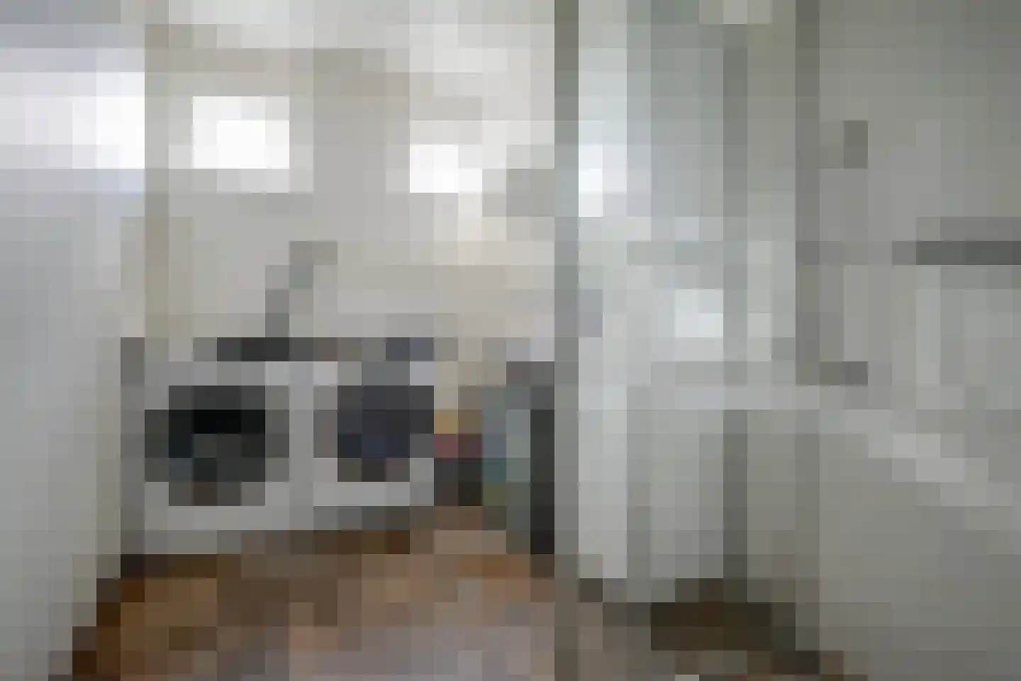 Steenbreekvaren 34 Bergschenhoek thumbnail 25