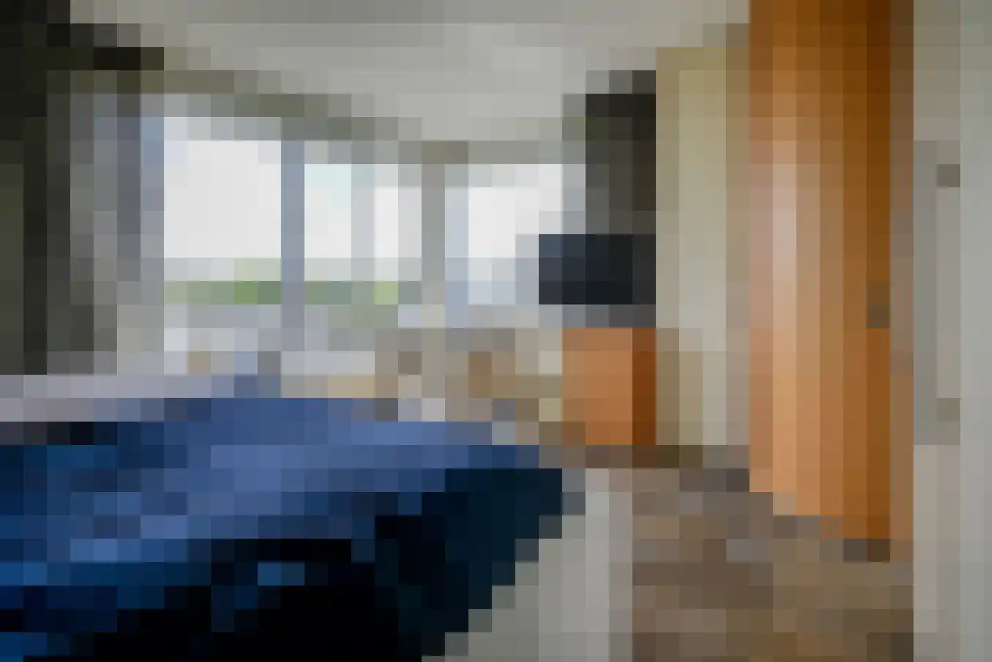 Steenbreekvaren 34 Bergschenhoek thumbnail 27