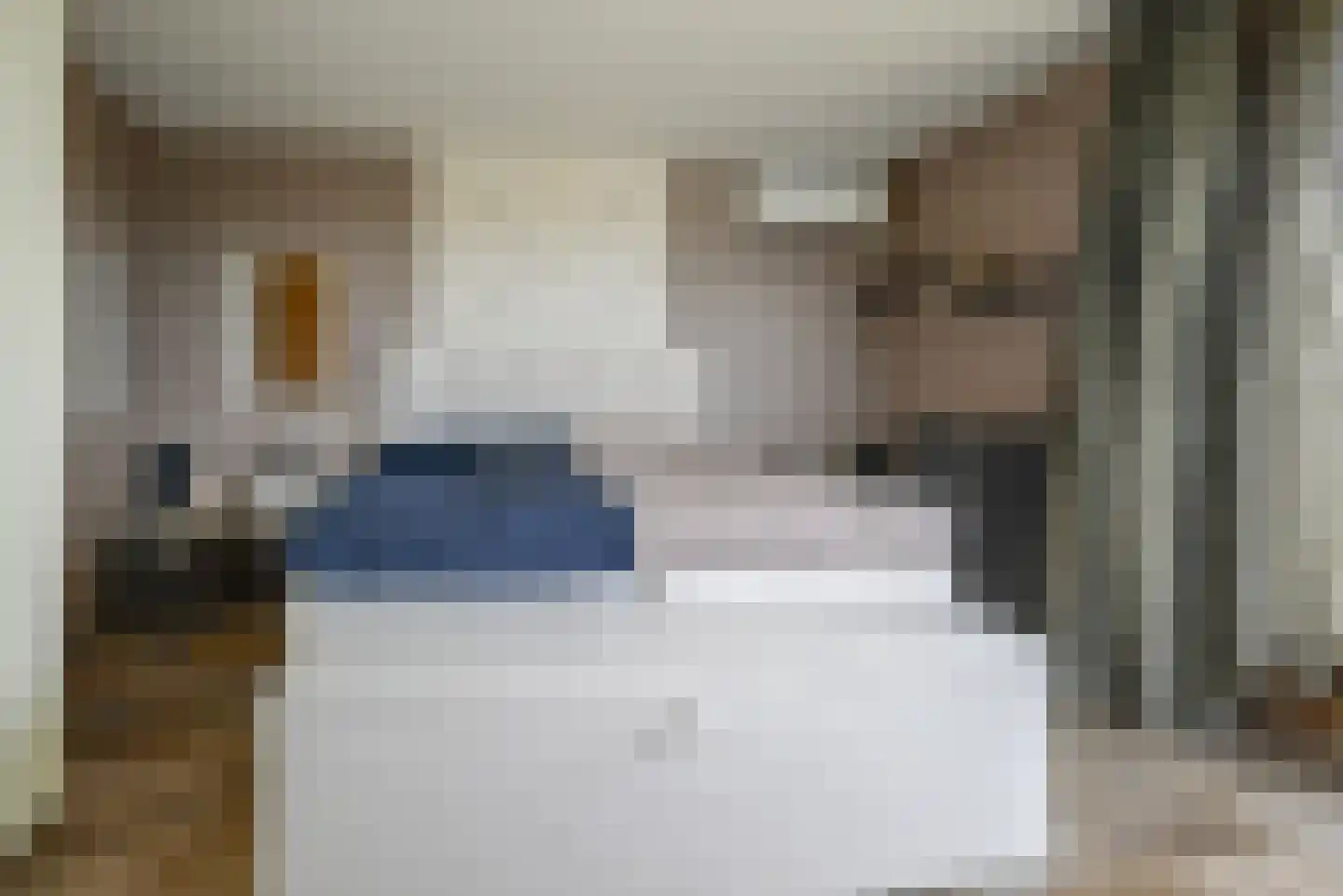 Steenbreekvaren 34 Bergschenhoek thumbnail 27