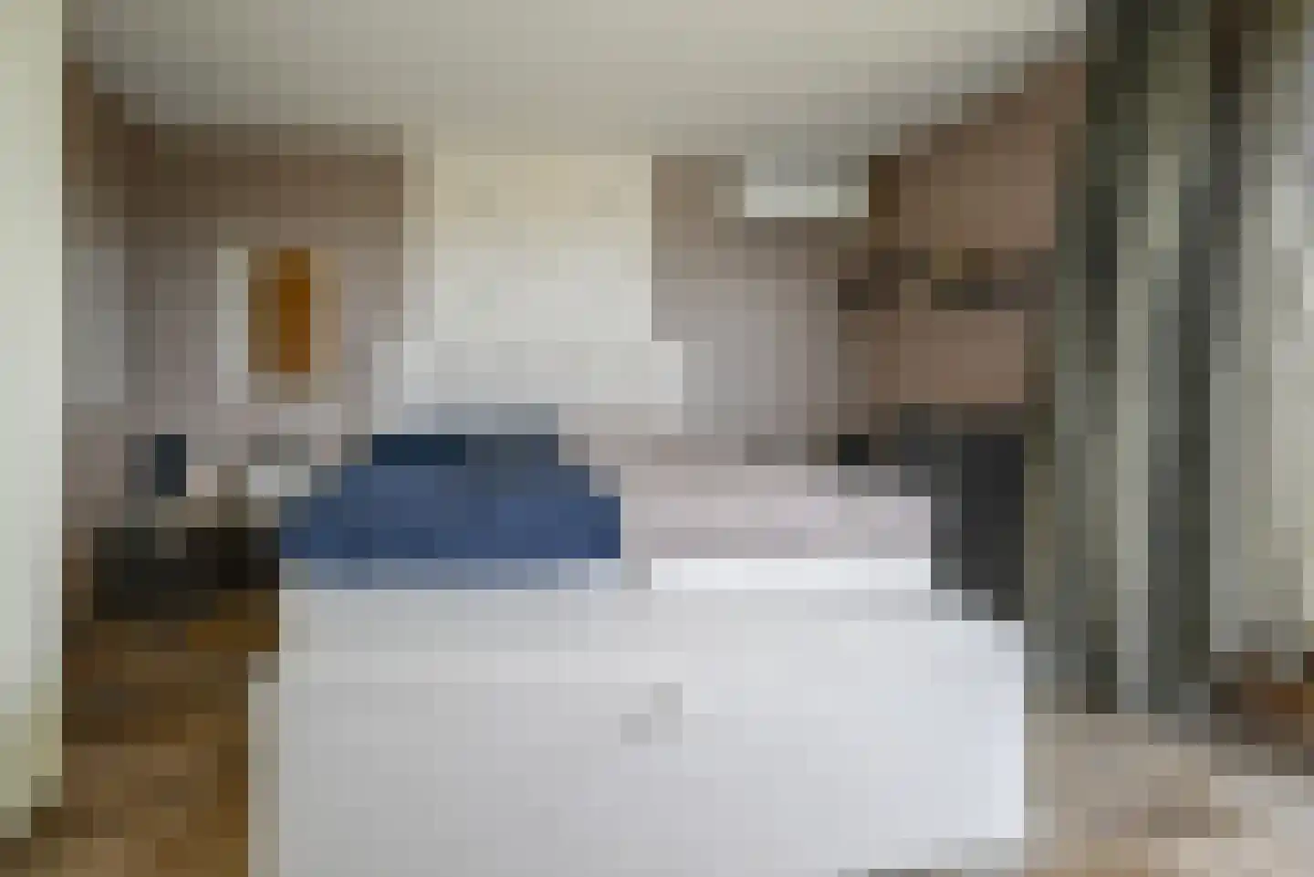 Steenbreekvaren 34 Bergschenhoek thumbnail 28