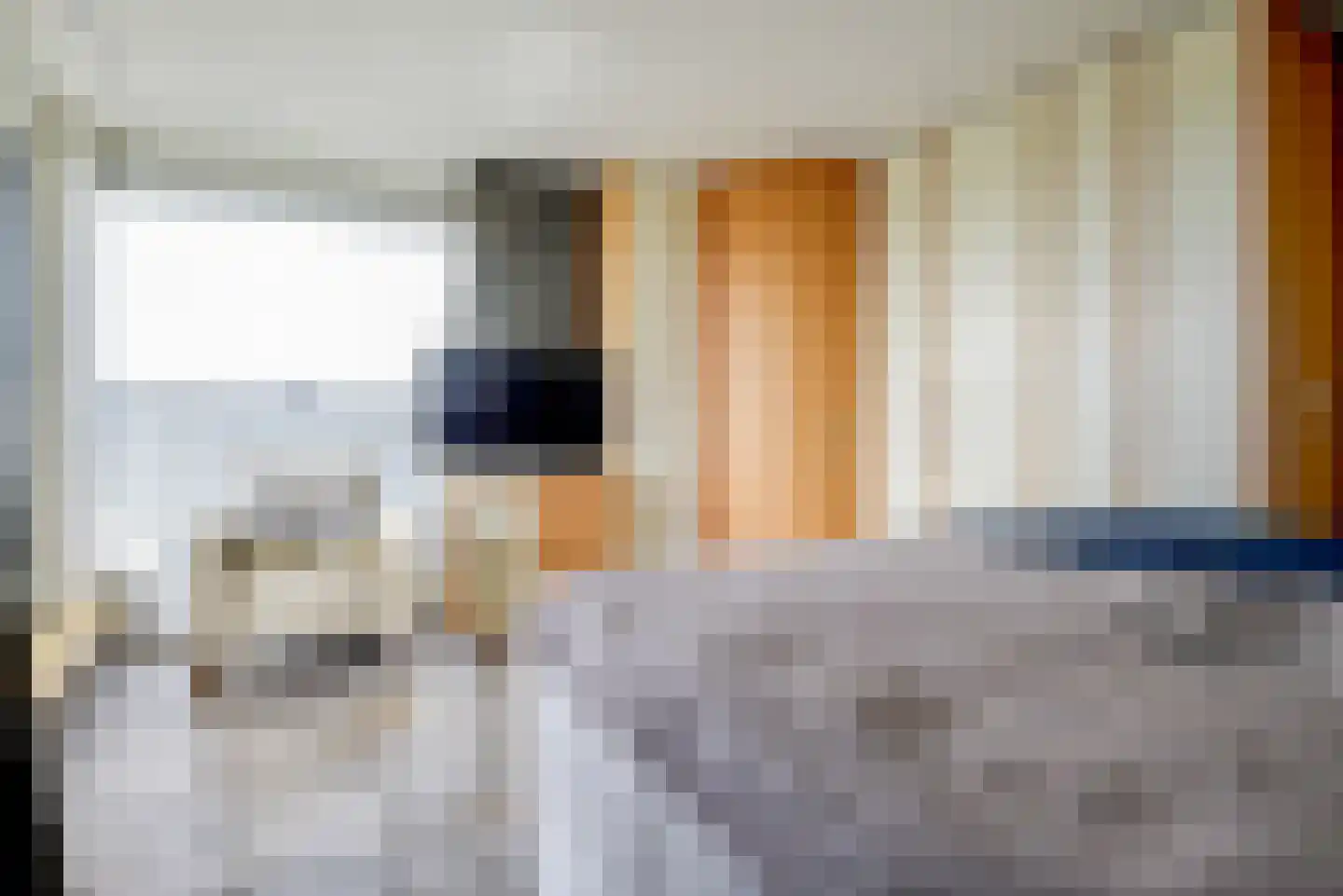 Steenbreekvaren 34 Bergschenhoek thumbnail 30