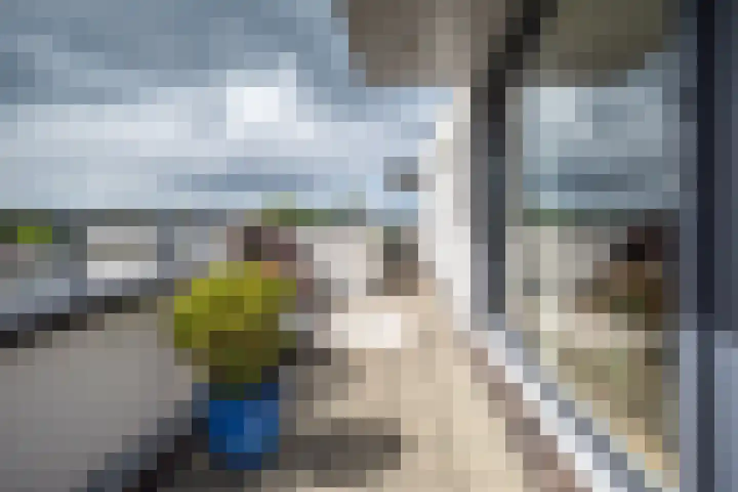 Steenbreekvaren 34 Bergschenhoek thumbnail 31