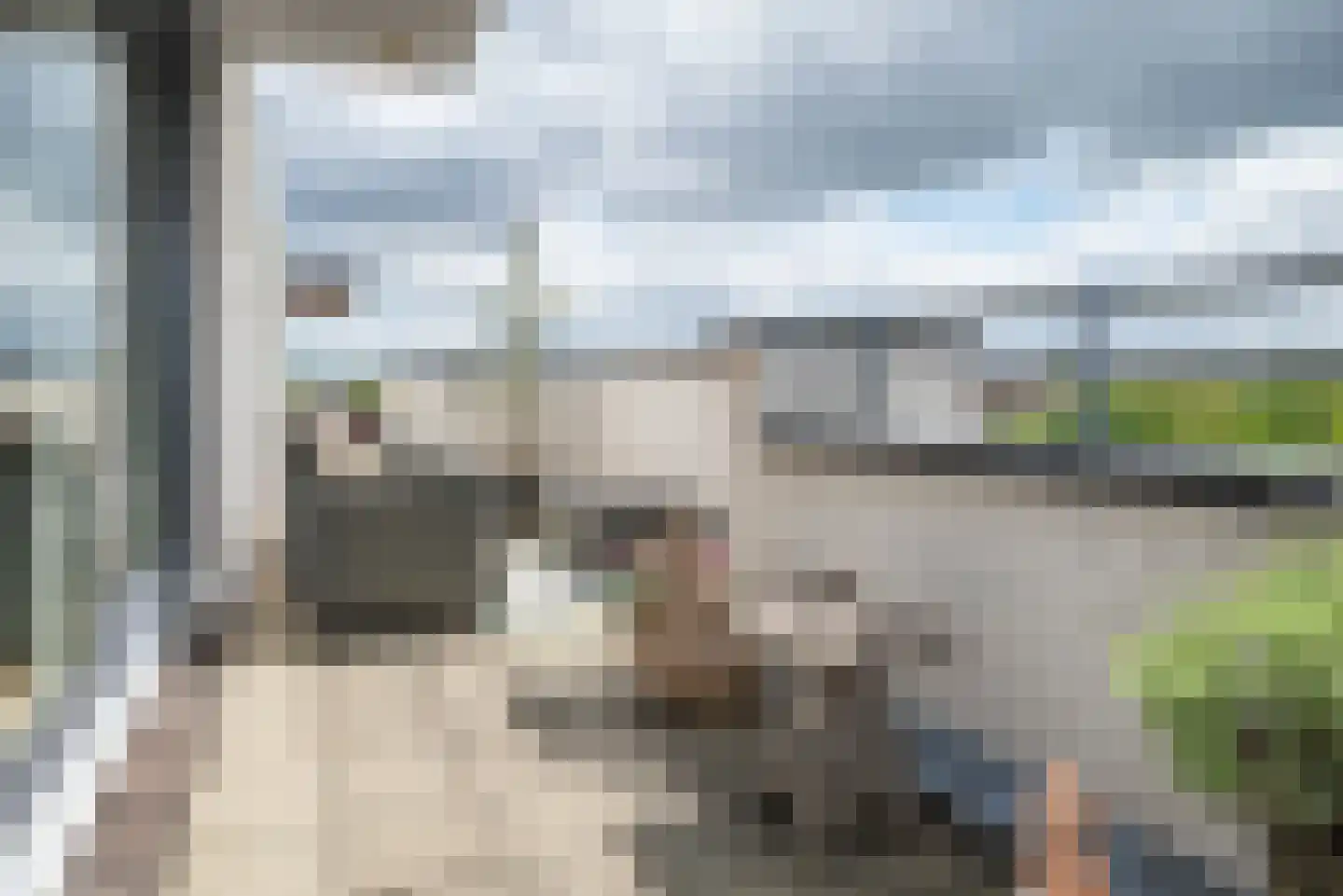 Steenbreekvaren 34 Bergschenhoek thumbnail 32