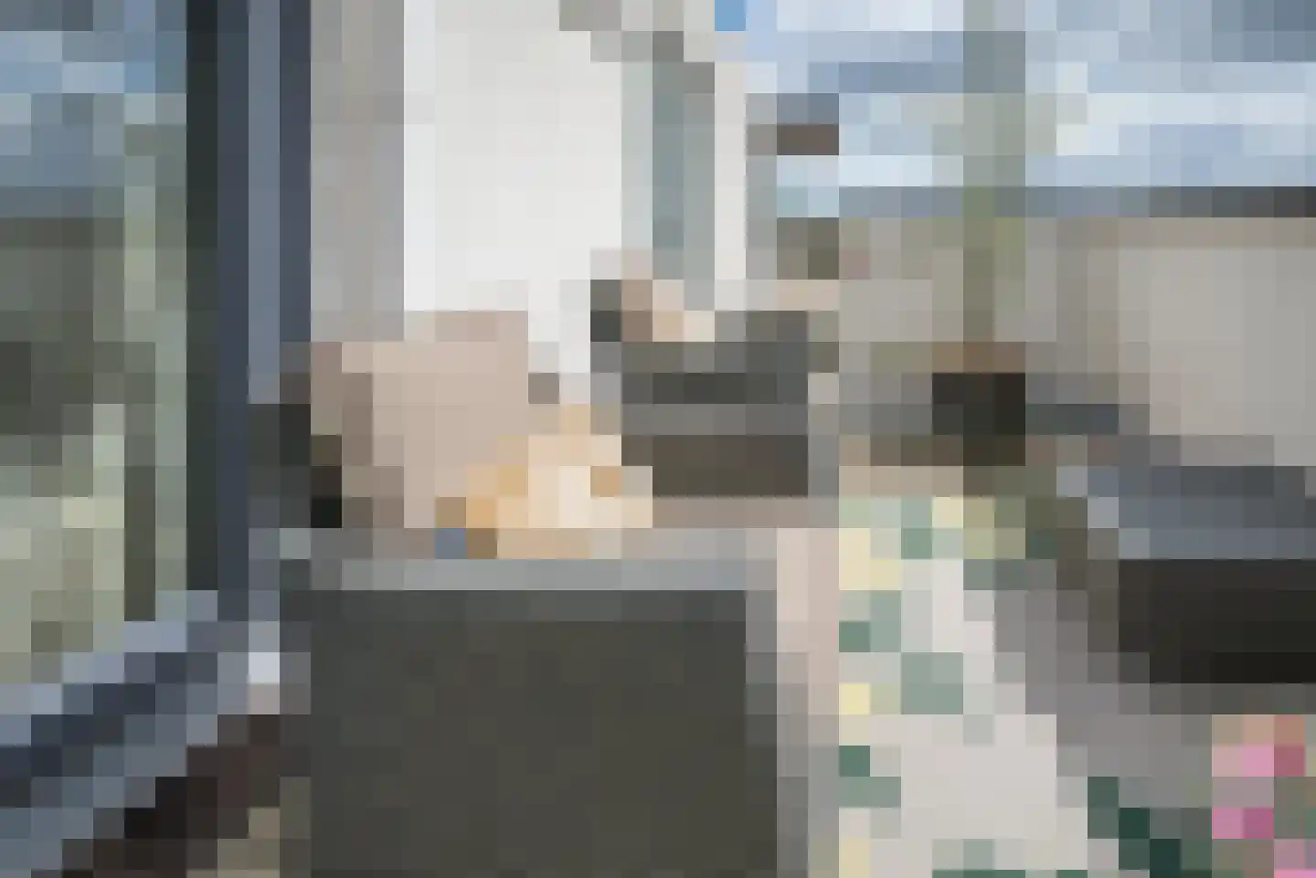 Steenbreekvaren 34 Bergschenhoek thumbnail 33