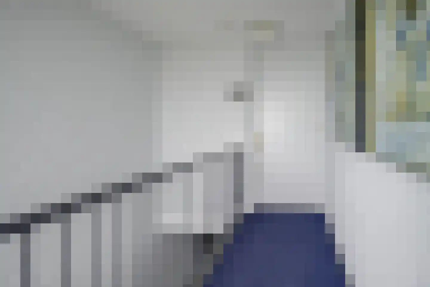 Steenbreekvaren 34 Bergschenhoek thumbnail 36