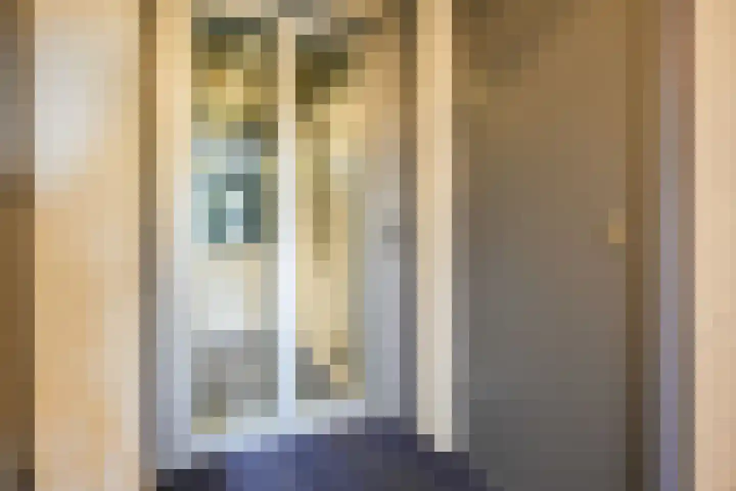 Steenbreekvaren 34 Bergschenhoek thumbnail 37
