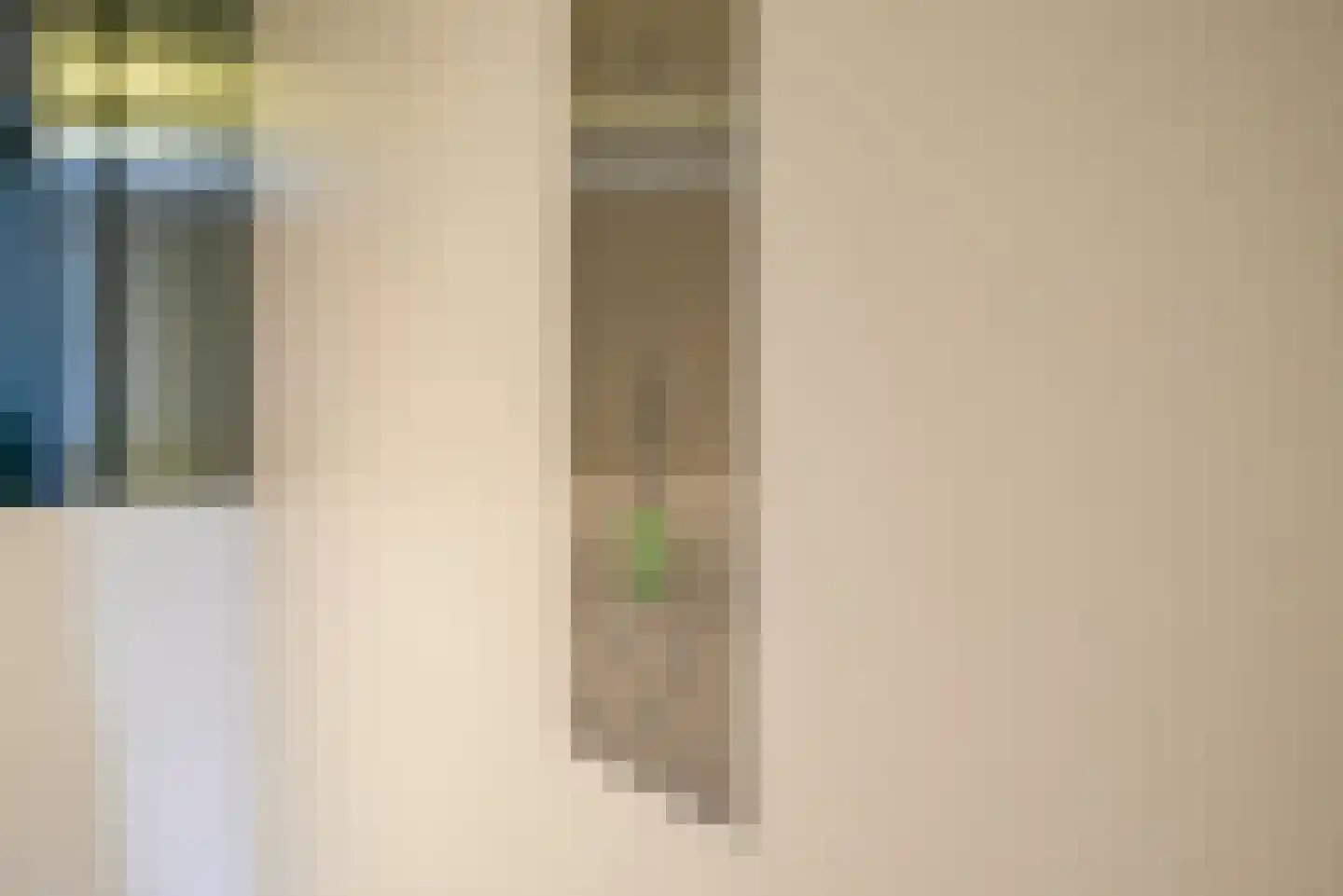 Steenbreekvaren 34 Bergschenhoek thumbnail 38