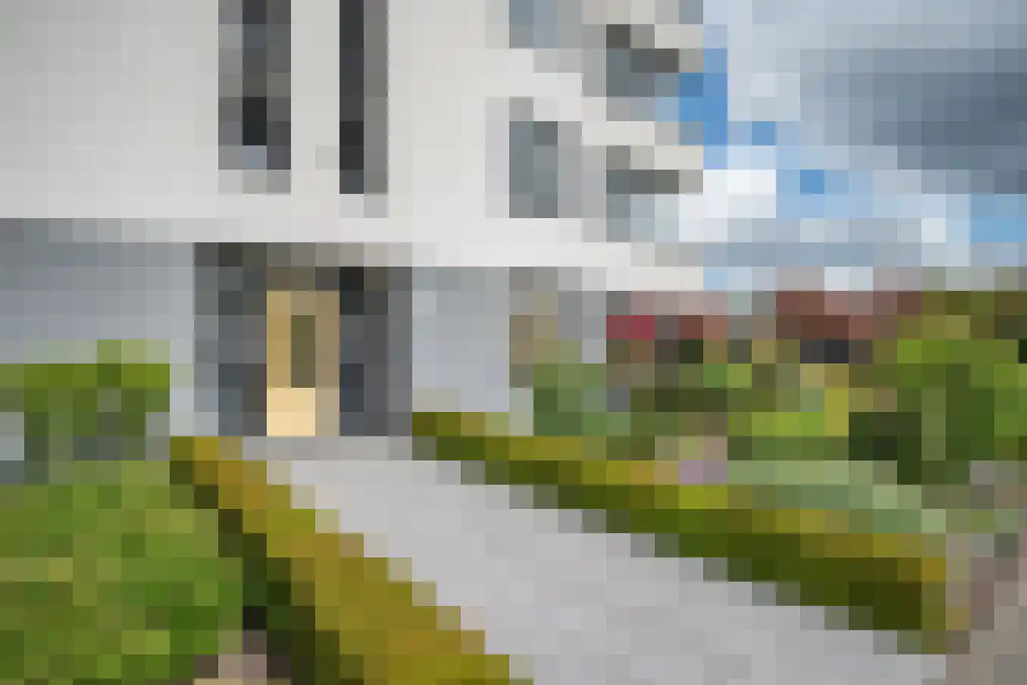 Steenbreekvaren 34 Bergschenhoek thumbnail 39