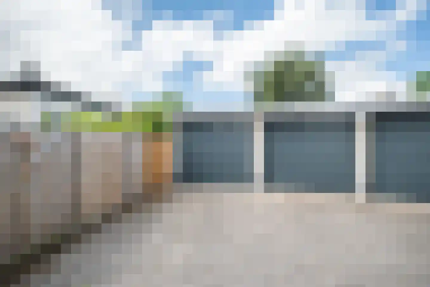 Steenbreekvaren 34 Bergschenhoek thumbnail 40
