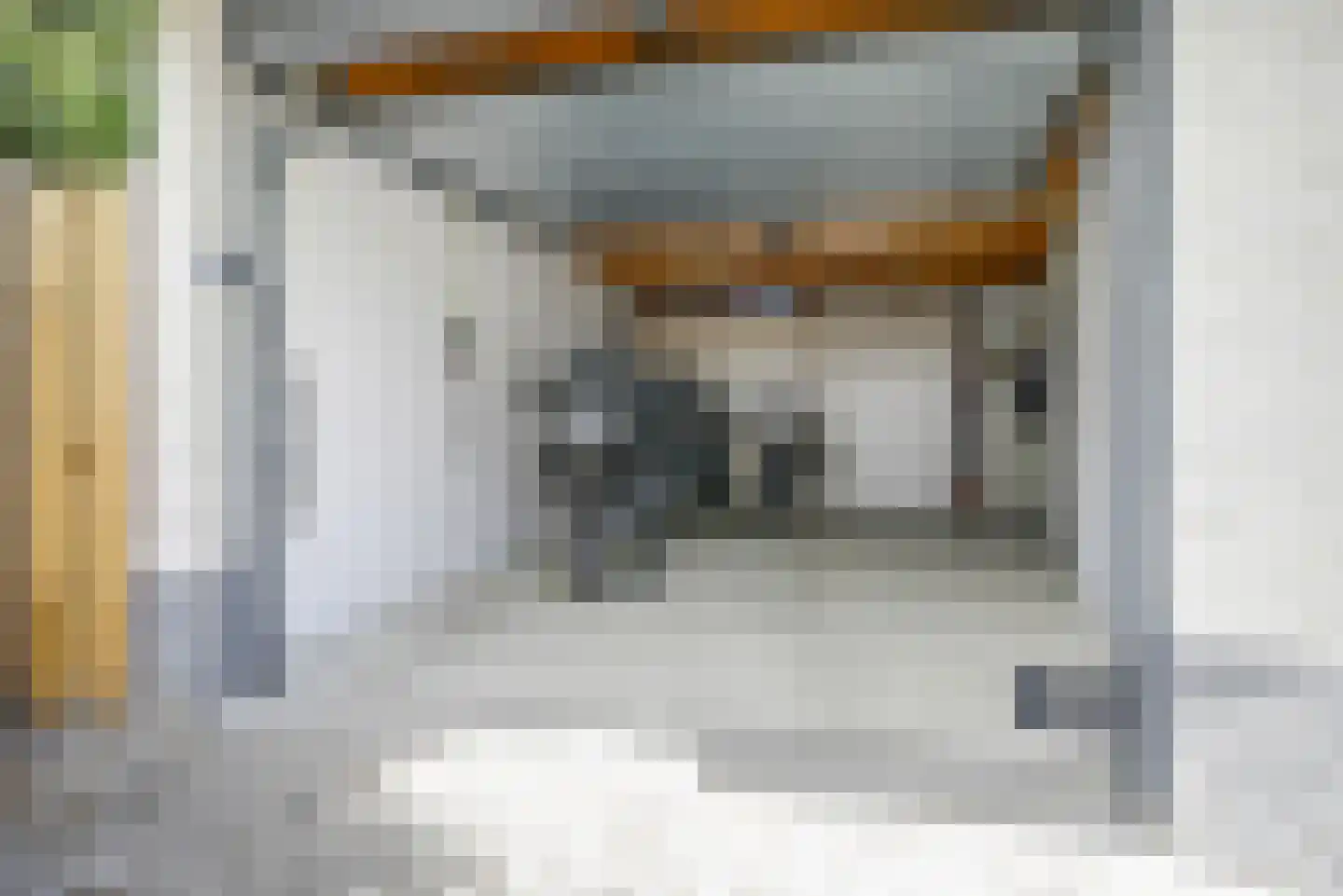 Steenbreekvaren 34 Bergschenhoek thumbnail 41