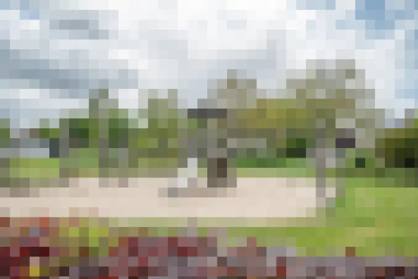 Steenbreekvaren 34 Bergschenhoek thumbnail 42