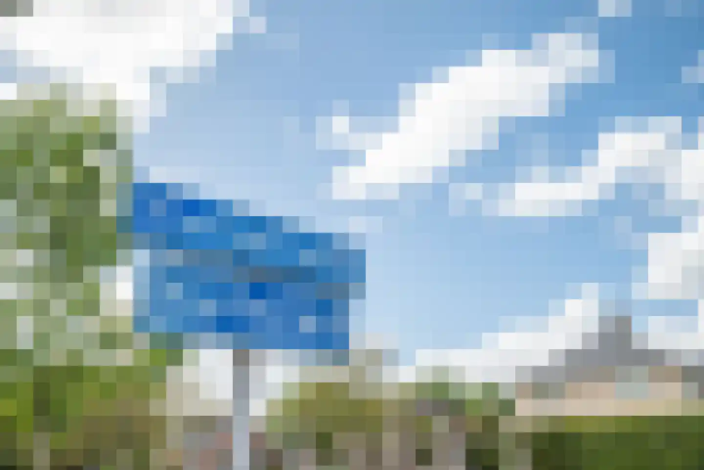 Steenbreekvaren 34 Bergschenhoek thumbnail 43