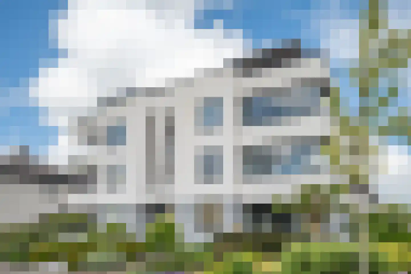 Steenbreekvaren 34 Bergschenhoek thumbnail 44