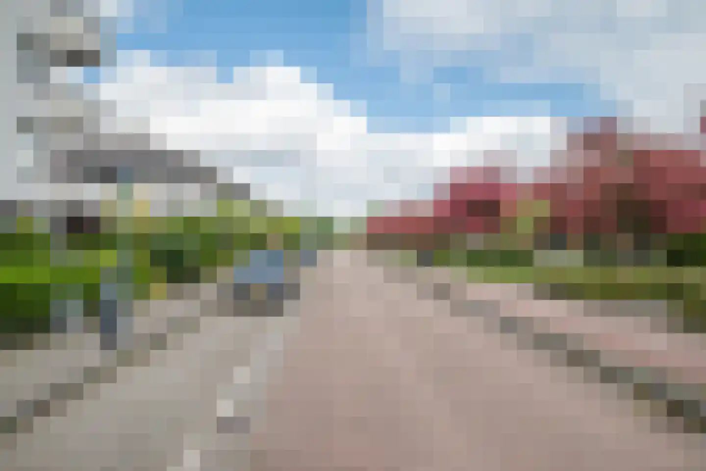 Steenbreekvaren 34 Bergschenhoek thumbnail 45