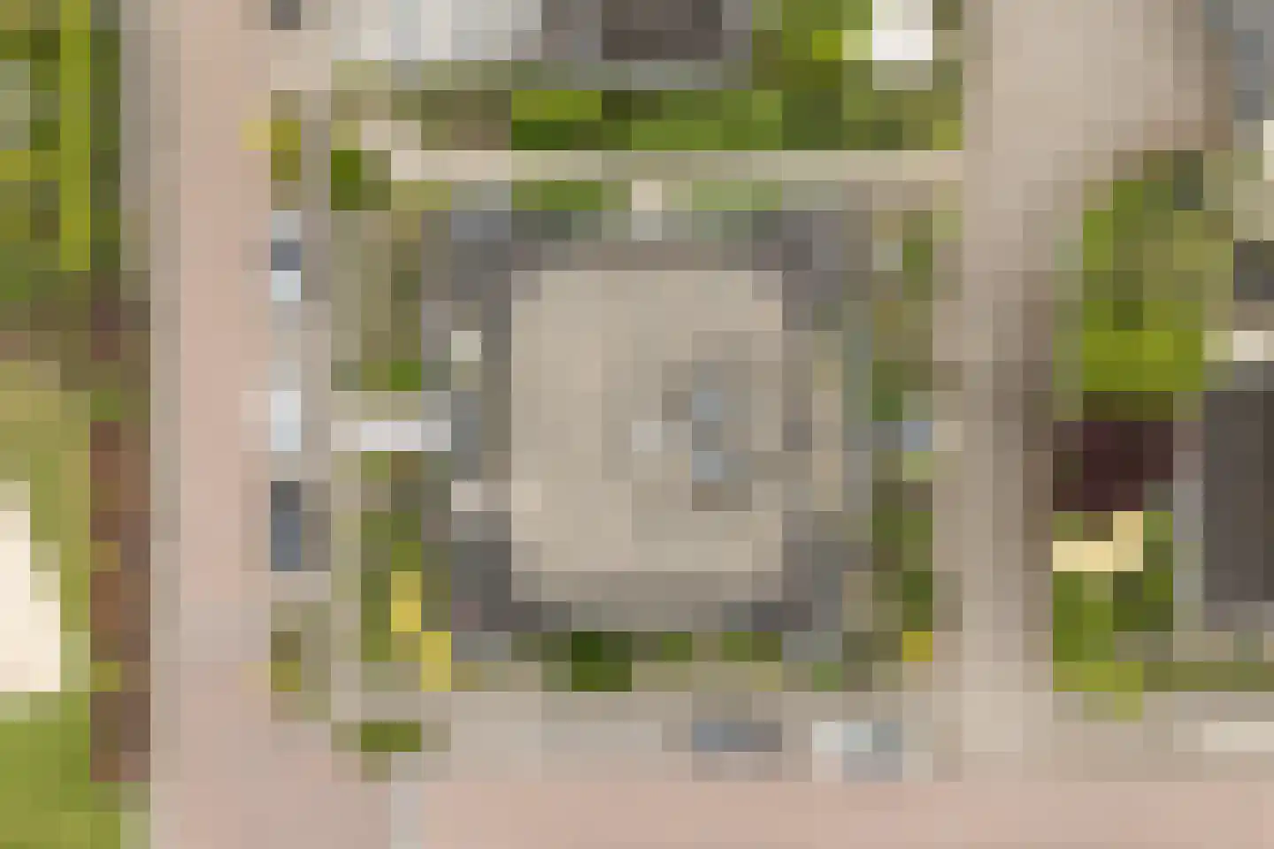 Steenbreekvaren 34 Bergschenhoek thumbnail 47