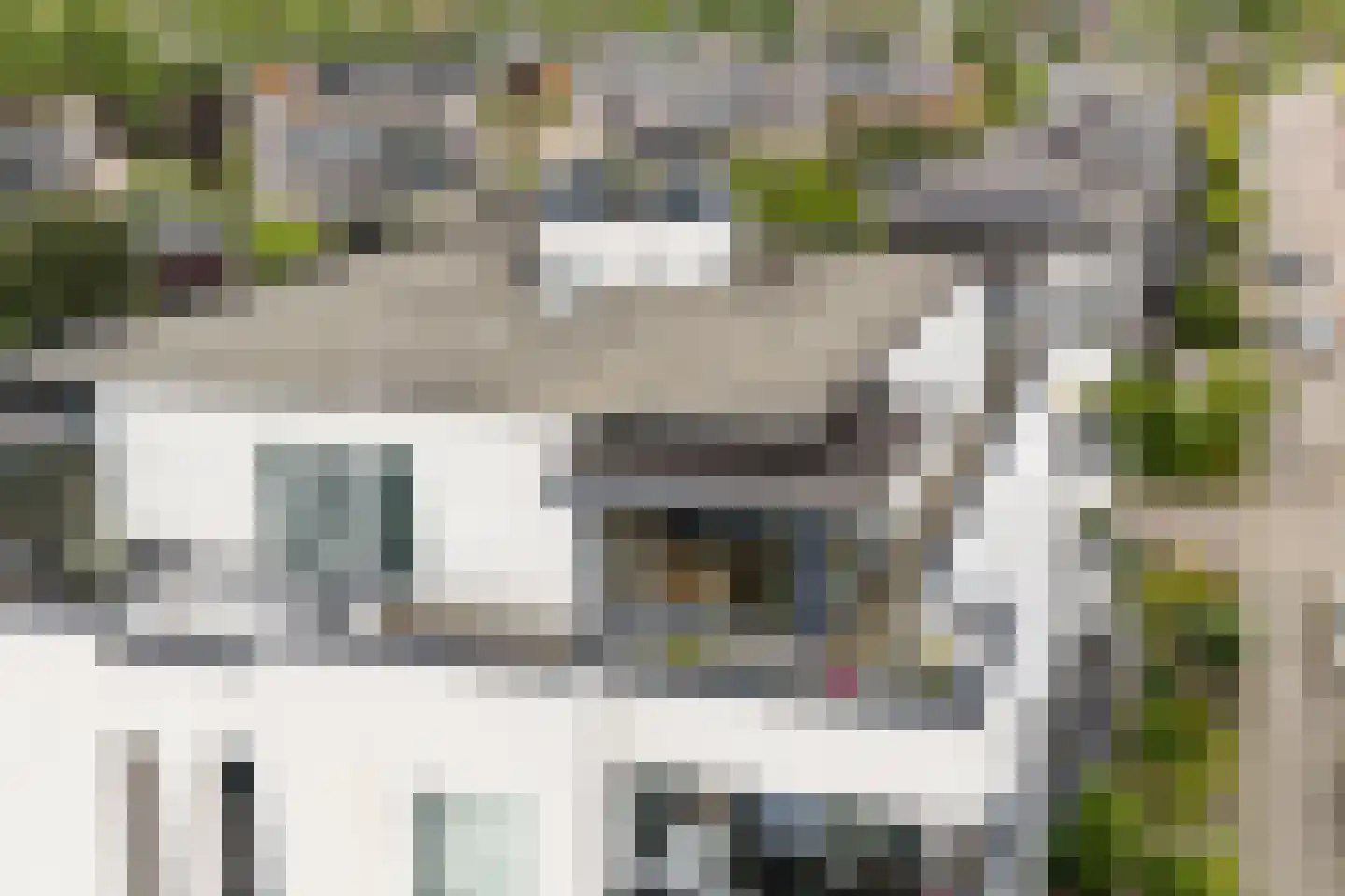 Steenbreekvaren 34 Bergschenhoek thumbnail 5