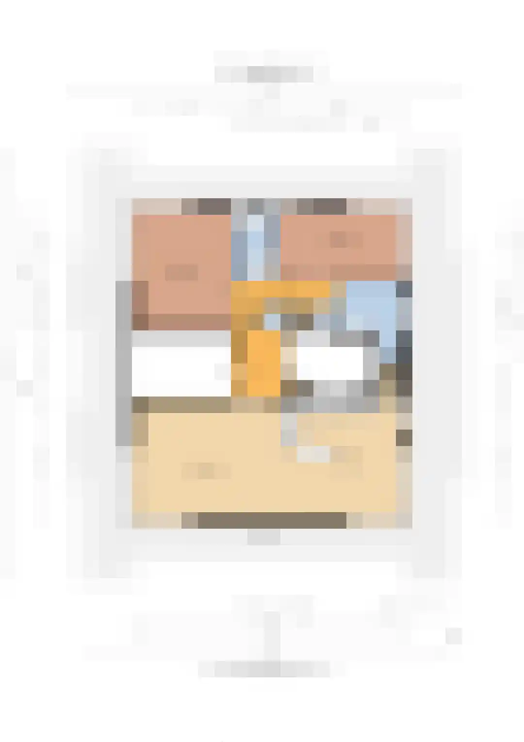 Steenbreekvaren 34 Bergschenhoek thumbnail 50