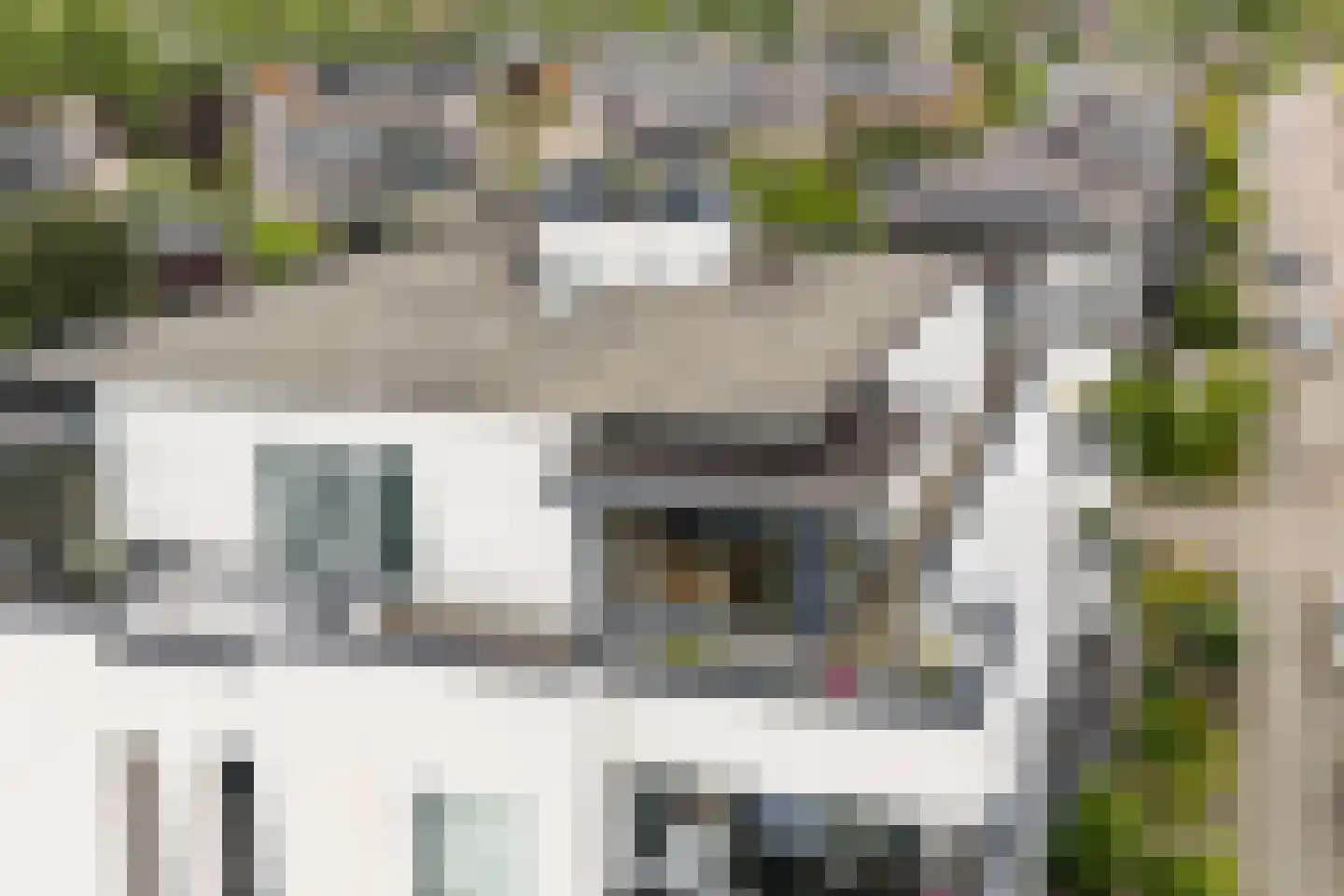 Steenbreekvaren 34 Bergschenhoek thumbnail 6