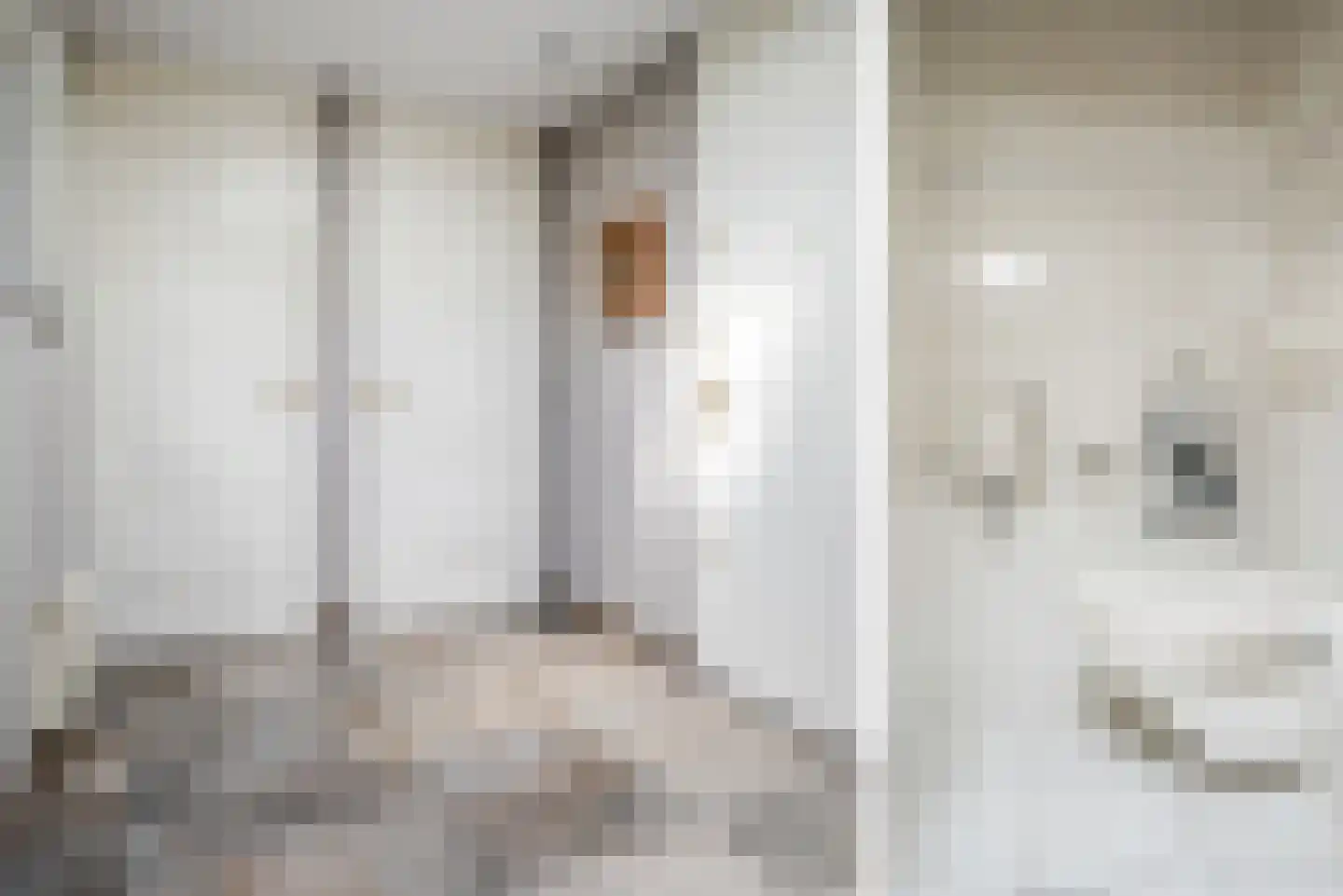 Steenbreekvaren 34 Bergschenhoek thumbnail 8