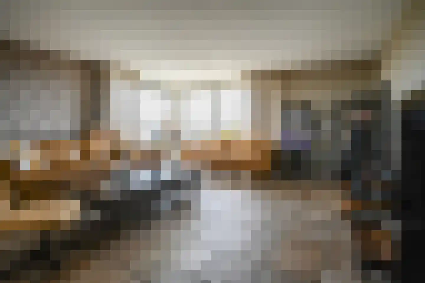 Steenbreekvaren 34 Bergschenhoek thumbnail 9