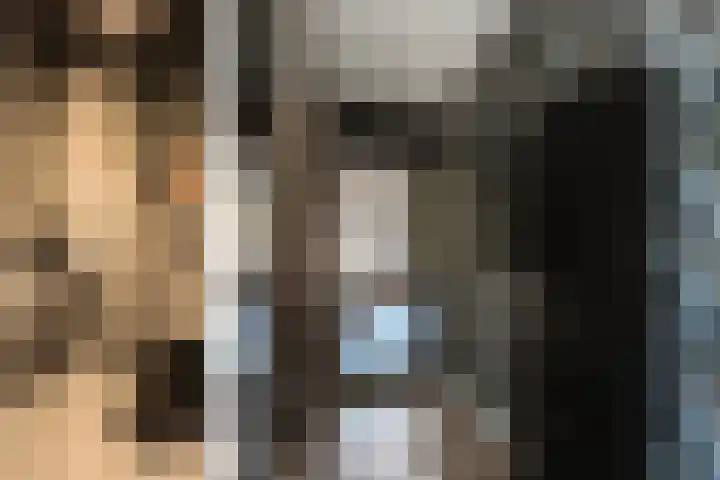 Steenbreekvaren 64 Bergschenhoek thumbnail 10