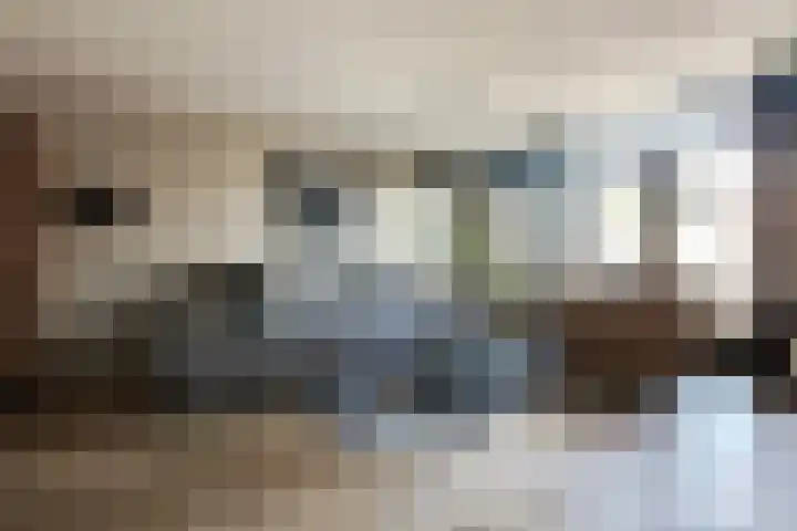 Steenbreekvaren 64 Bergschenhoek thumbnail 11
