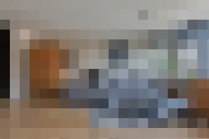 Steenbreekvaren 64 Bergschenhoek thumbnail 12