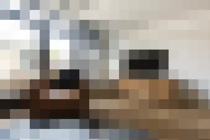 Steenbreekvaren 64 Bergschenhoek thumbnail 13