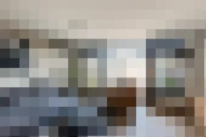 Steenbreekvaren 64 Bergschenhoek thumbnail 14