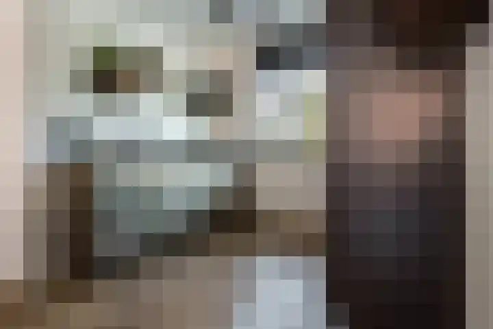 Steenbreekvaren 64 Bergschenhoek thumbnail 18