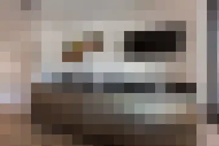 Steenbreekvaren 64 Bergschenhoek thumbnail 20