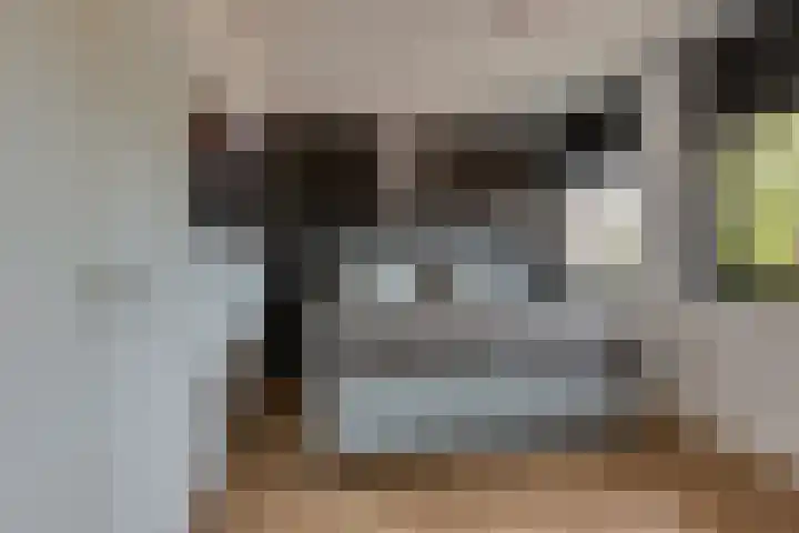 Steenbreekvaren 64 Bergschenhoek thumbnail 21