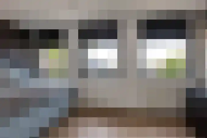 Steenbreekvaren 64 Bergschenhoek thumbnail 22