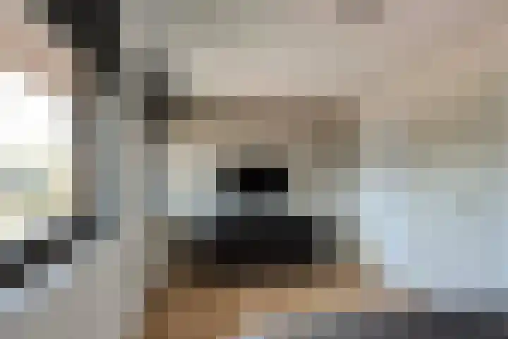 Steenbreekvaren 64 Bergschenhoek thumbnail 23