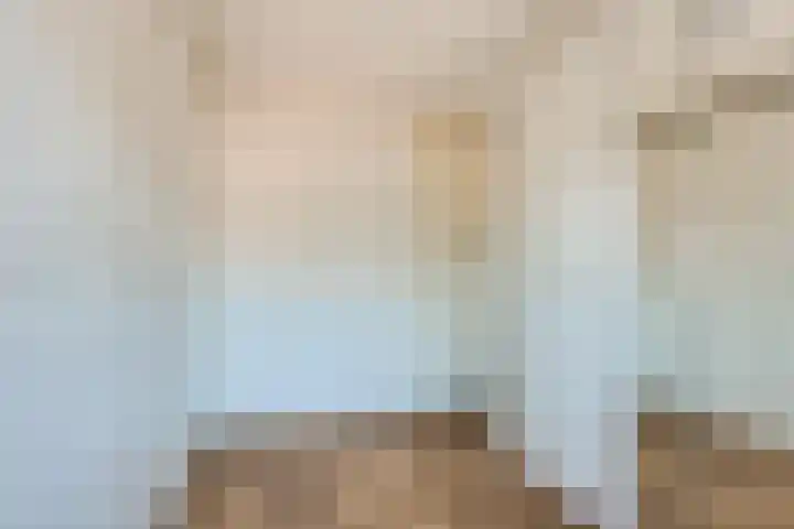 Steenbreekvaren 64 Bergschenhoek thumbnail 26