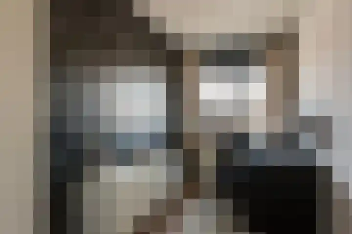 Steenbreekvaren 64 Bergschenhoek thumbnail 27