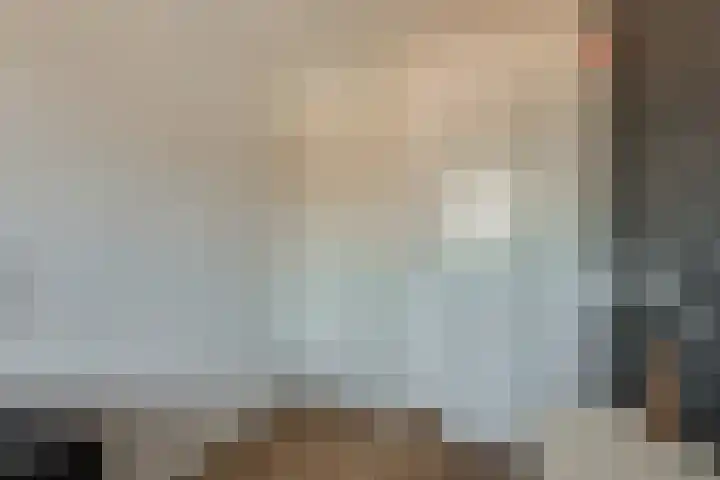 Steenbreekvaren 64 Bergschenhoek thumbnail 28