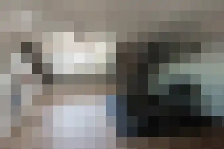 Steenbreekvaren 64 Bergschenhoek thumbnail 31