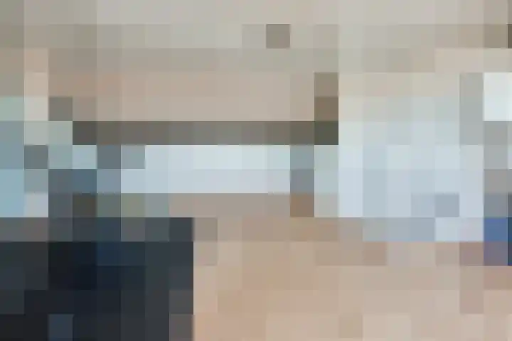 Steenbreekvaren 64 Bergschenhoek thumbnail 32