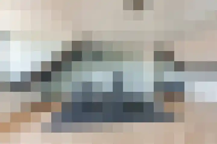 Steenbreekvaren 64 Bergschenhoek thumbnail 33