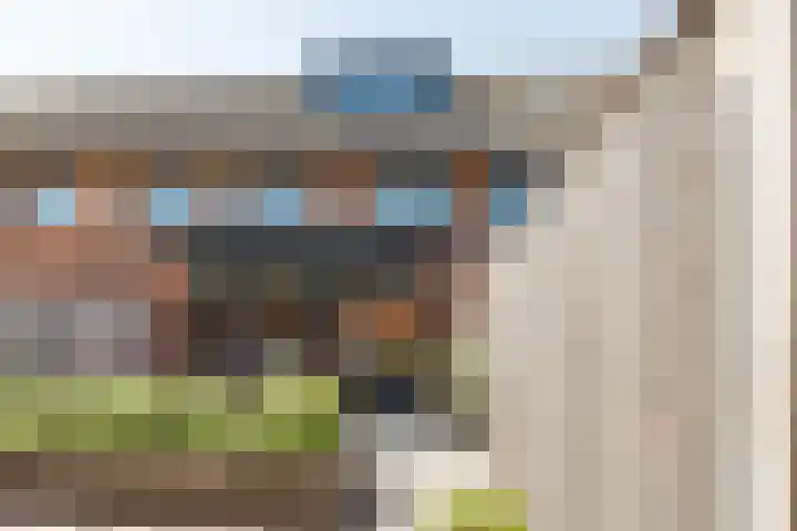 Steenbreekvaren 64 Bergschenhoek thumbnail 37