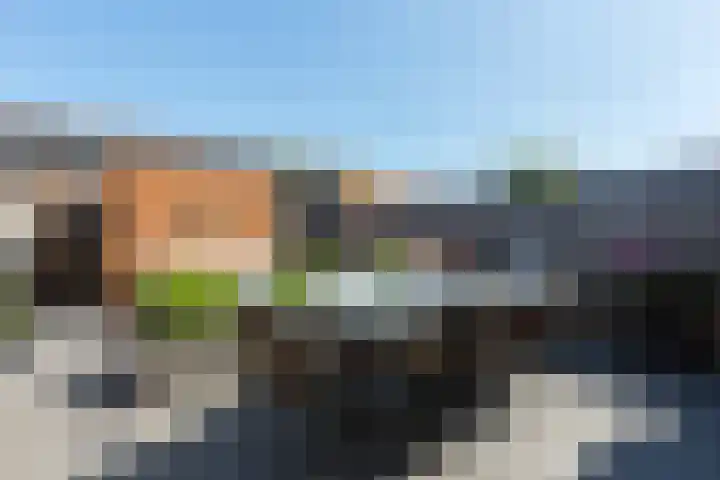 Steenbreekvaren 64 Bergschenhoek thumbnail 4