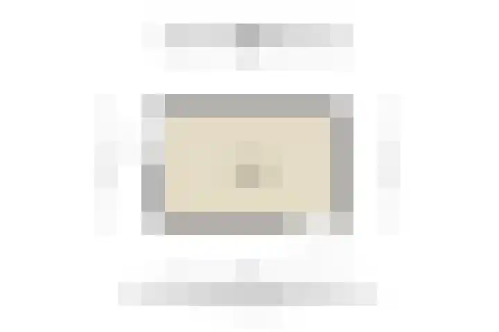 Steenbreekvaren 64 Bergschenhoek thumbnail 43