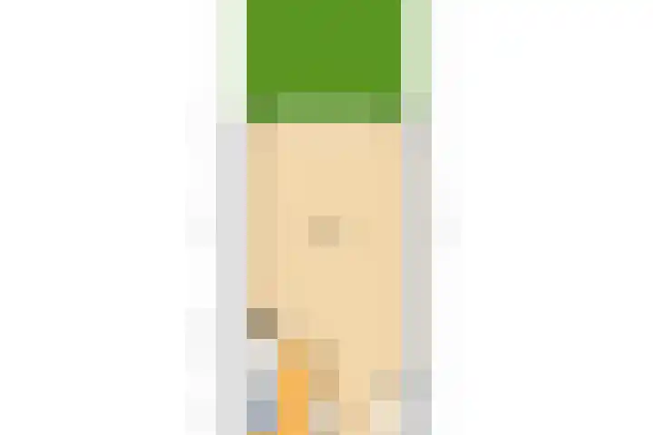 Steenbreekvaren 64 Bergschenhoek thumbnail 44