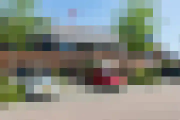 Steenbreekvaren 64 Bergschenhoek thumbnail 45