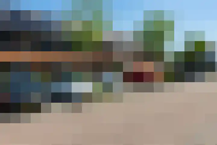 Steenbreekvaren 64 Bergschenhoek thumbnail 6