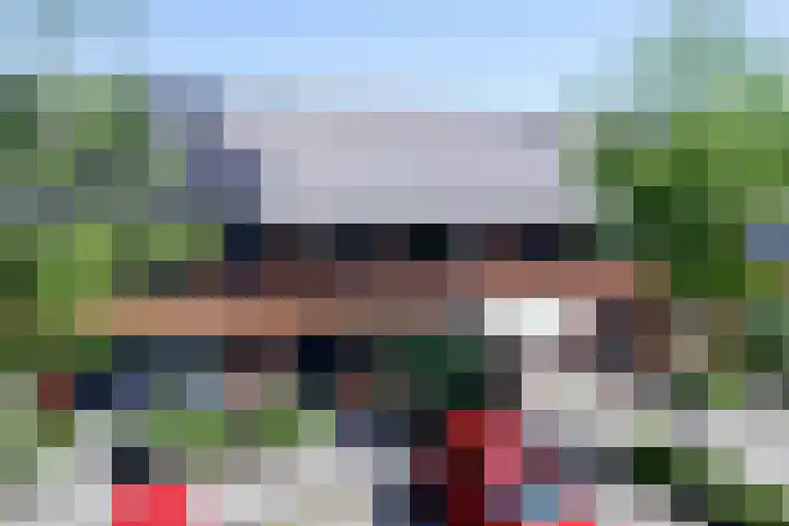 Steenbreekvaren 64 Bergschenhoek thumbnail 7