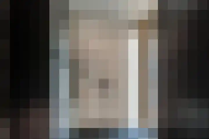 Steenbreekvaren 64 Bergschenhoek thumbnail 9