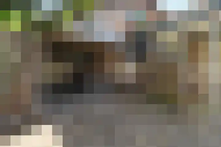 Steendalerstraat 111 Gennep thumbnail 22